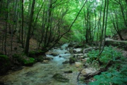 Clicca qui per vedere l'immagine in dettaglio